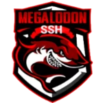 megalodon ssh 4g android application logo